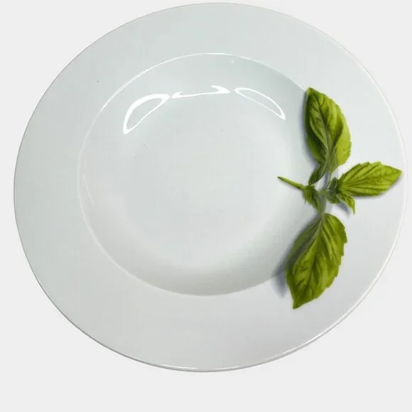 Crate & Barrel Herb Motif Porcelain Dinner Plates Set Of 2 - Picture 7 of 9